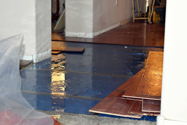 Professional Water Damage Restoration technician working in Nuevo, CA